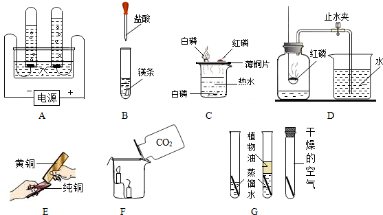 工业用三元催化装置