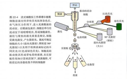 电阻测量仪表与风扇离合器原理区别