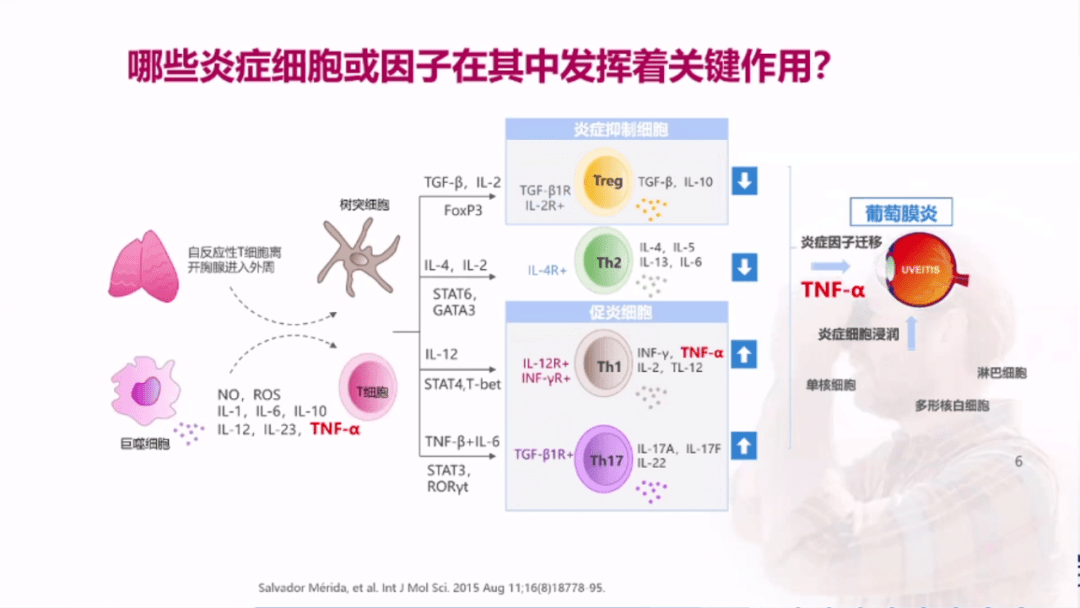 脱毛剂原理，深入解析其成分与功效