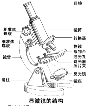 镜头与显微镜材料的区别