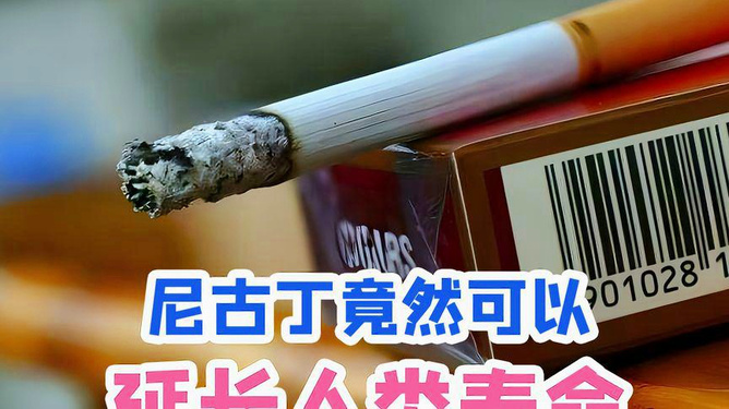 蜡烛可以防虫吗