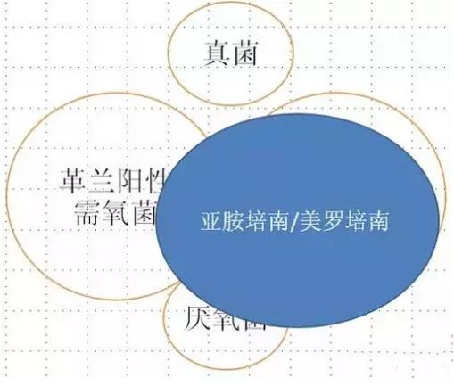 弹力布种类